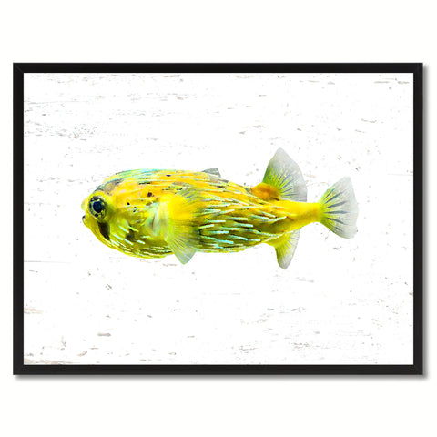 Aqua Tropical Fish Painting Reproduction Gifts Home Decor Wall Art Canvas Prints Picture Frames