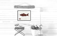 Fish Meat Cuts Butchers Chart Canvas Print Picture Frame Home Decor Wall Art Gifts