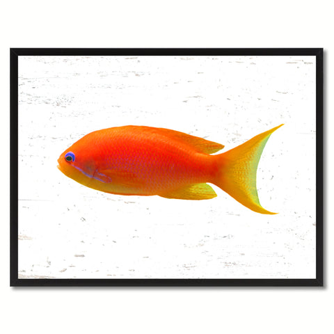 Purple Tropical Fish Painting Reproduction Gifts Home Decor Wall Art Canvas Prints Picture Frames
