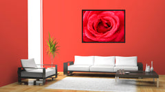 Red Rose Flower Framed Canvas Print Home Décor Wall Art