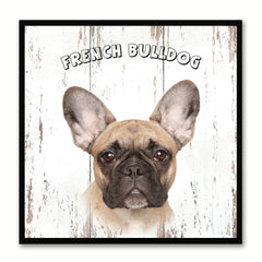 French Bulldog Dog Canvas Print Picture Frame Gift Home Decor Wall Art Decoration