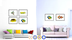 Yellow Tropical Fish Painting Reproduction Gifts Home Decor Wall Art Canvas Prints Picture Frames