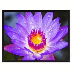 Purple Lotus Flower Framed Canvas Print Home Décor Wall Art