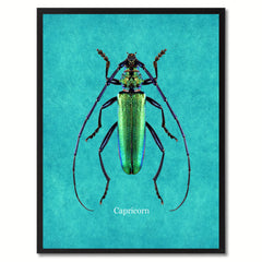 Capricorn Aqua Canvas Print, Picture Frames Home Decor Wall Art Gifts