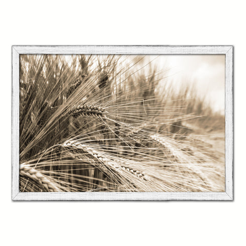 Nutritious Nature Barley Paddy Field Sepia Landscape decor, National Park, Sightseeing, Attractions, White Wash Wood Frame