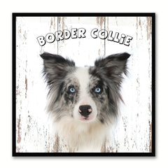 Border Collie Dog Canvas Print Picture Frame Gift Home Decor Wall Art Decoration