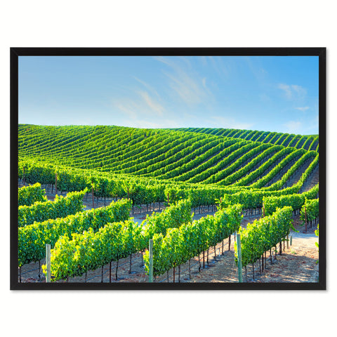 Vineyard Tuscany Italy Landscape Photo Canvas Print Pictures Frames Home Décor Wall Art Gifts