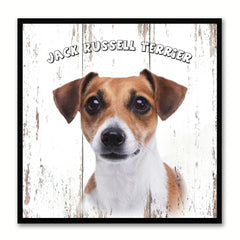 Jack Russell Terrier Dog Canvas Print Picture Frame Gift Home Decor Wall Art Decoration