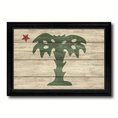 South Carolina Palmetto Guard Military Flag Texture Canvas Print with Black Picture Frame Gift Ideas Home Decor Wall Art