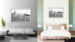Nutritious Nature Grain Paddy Field Black and White Landscape decor, National Park, Sightseeing, Attractions, White Wash Wood Frame