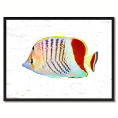 Red Tropical Fish Painting Reproduction Gifts Home Decor Wall Art Canvas Prints Picture Frames