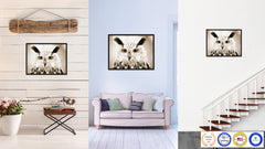 Owl Bird Canvas Print, Black Picture Frame Gift Ideas Home Decor Wall Art Decoration