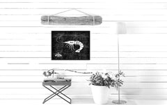 Shrimp Meat Cuts Butchers Chart Canvas Print Picture Frame Home Decor Wall Art Gifts