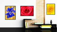 Red Rose Flower Framed Canvas Print Home Décor Wall Art