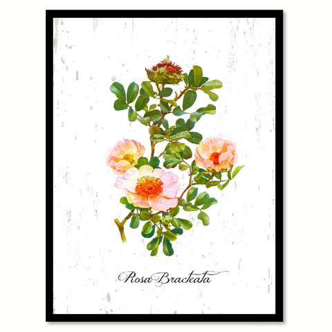 Orange Rose Flower Canvas Print with Picture Frame Floral Home Decor Wall Art Living Room Decoration Gifts
