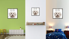 Maltese Dog Canvas Print Picture Frame Gift Home Decor Wall Art Decoration