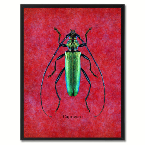 Capricorn Red Canvas Print, Picture Frames Home Decor Wall Art Gifts