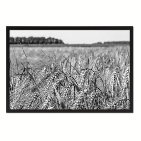 Barley paddy Black and White Landscape decor, National Park, Sightseeing, Attractions, Black Frame