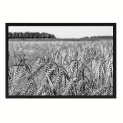 Barley paddy Black and White Landscape decor, National Park, Sightseeing, Attractions, Black Frame