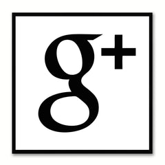 Google Social Media Icon Canvas Print Picture Frame Wall Art Home Decor