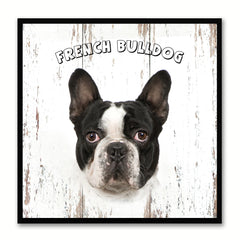 French Bulldog Dog Canvas Print Picture Frame Gift Home Decor Wall Art Decoration