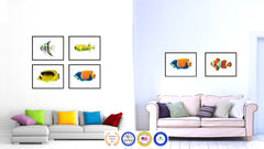 Orange Tropical Fish Painting Reproduction Gifts Home Decor Wall Art Canvas Prints Picture Frames