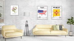 New Mexico Flag Gifts Home Decor Wall Art Canvas Print with Custom Picture Frame