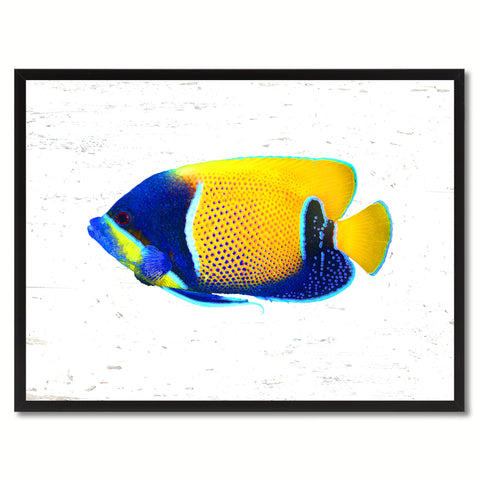 Aqua Tropical Fish Painting Reproduction Gifts Home Decor Wall Art Canvas Prints Picture Frames