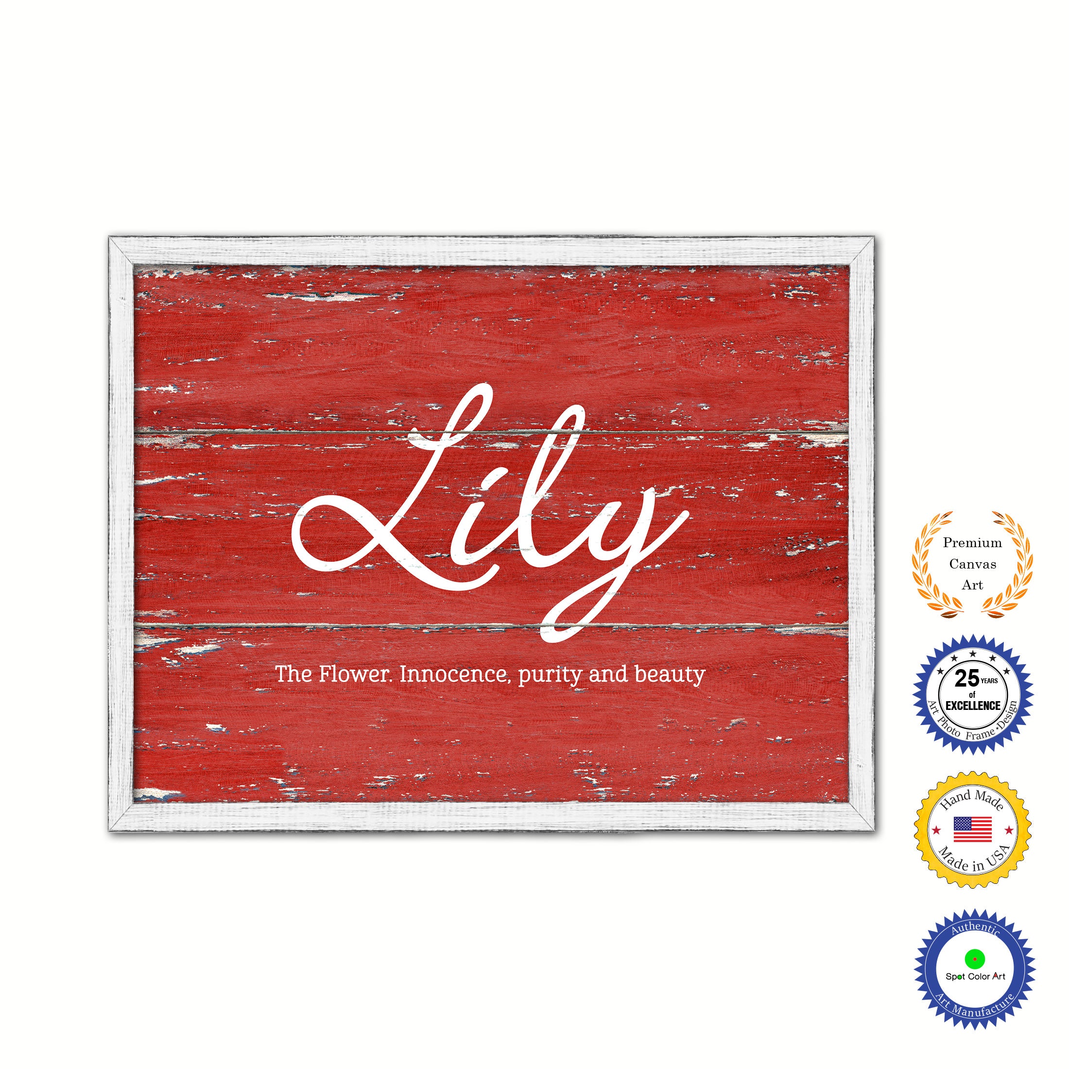 Lily Name Plate White Wash Wood Frame Canvas Print Boutique Cottage Decor Shabby Chic