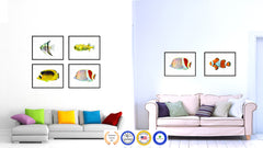 Red Tropical Fish Painting Reproduction Gifts Home Decor Wall Art Canvas Prints Picture Frames