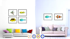 Aqua Tropical Fish Painting Reproduction Gifts Home Decor Wall Art Canvas Prints Picture Frames