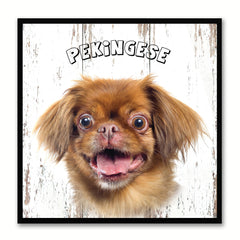 Pekingese Dog Canvas Print Picture Frame Gift Home Decor Wall Art Decoration