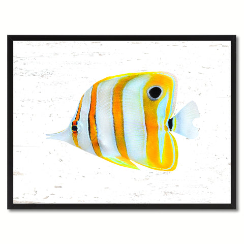 Orange Clown Tropical Fish Painting Reproduction Gifts Home Decor Wall Art Canvas Prints Picture Frames