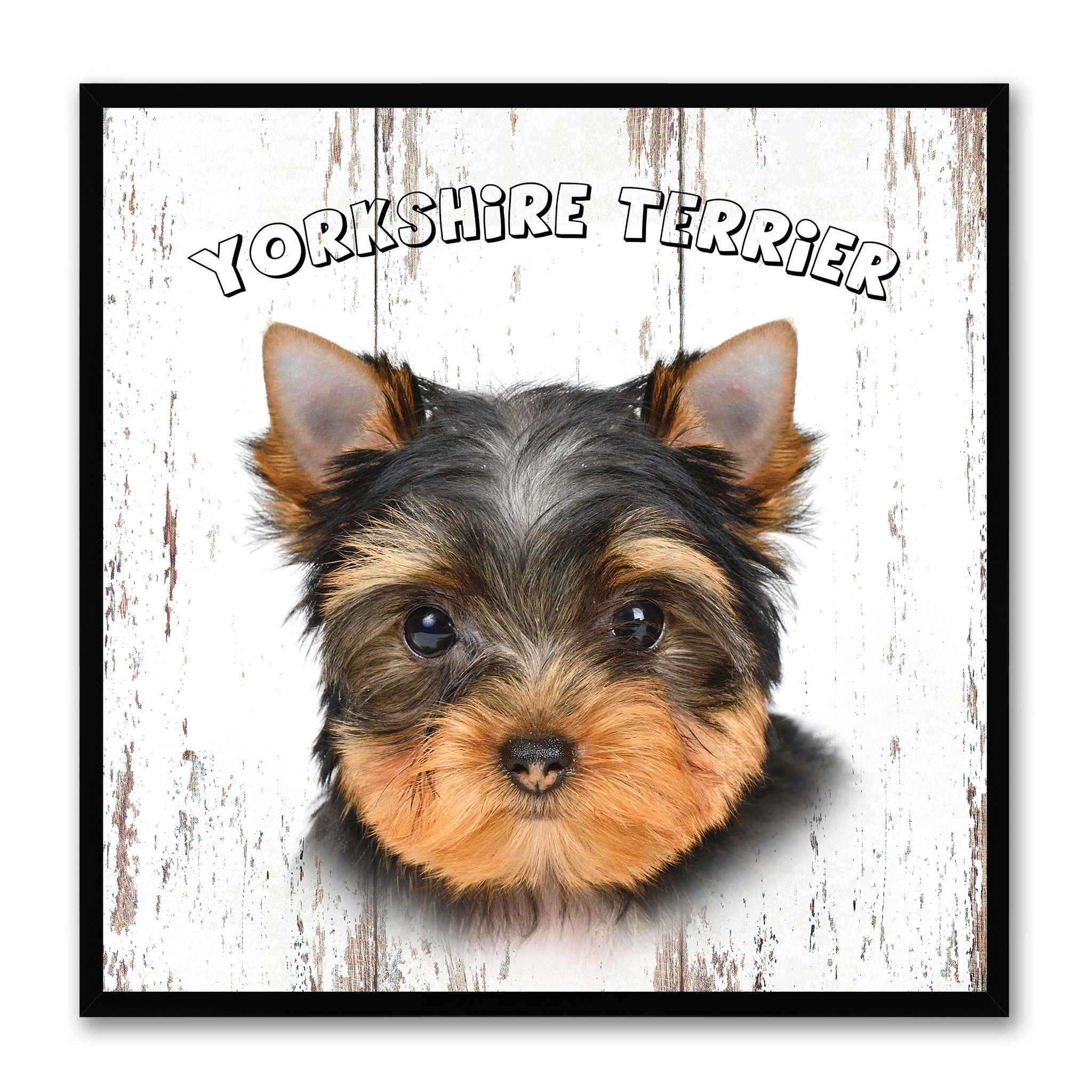 Yorkshire Terrier Dog Canvas Print Picture Frame Gift Home Decor Wall Art Decoration