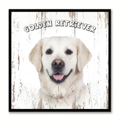 Golden Retriever Dog Canvas Print Picture Frame Gift Home Decor Wall Art Decoration