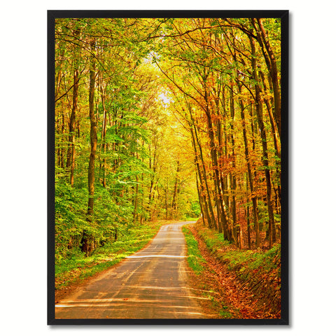 Autumn Tree Aqua Landscape Photo Canvas Print Pictures Frames Home Décor Wall Art Gifts