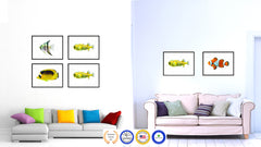 Yellow Tropical Fish Painting Reproduction Gifts Home Decor Wall Art Canvas Prints Picture Frames