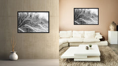 Nutritious Nature Barley Paddy Field Black and White Landscape decor, National Park, Sightseeing, Attractions, Black Frame