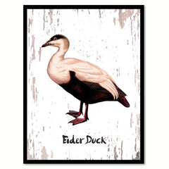 Eider Duck Bird Canvas Print, Black Picture Frame Gift Ideas Home Decor Wall Art Decoration