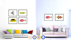 Pink Tropical Fish Painting Reproduction Gifts Home Decor Wall Art Canvas Prints Picture Frames