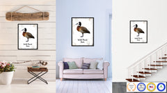 White Faced Duck Bird Canvas Print, Black Picture Frame Gift Ideas Home Decor Wall Art Decoration