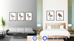 Mallard Duck Bird Canvas Print, Black Picture Frame Gift Ideas Home Decor Wall Art Decoration