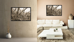 Nutritious Nature Rice Paddy Field Sepia Landscape decor, National Park, Sightseeing, Attractions, Black Frame