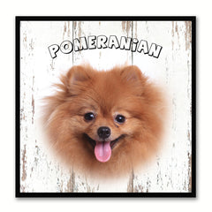 Pomeranian Dog Canvas Print Picture Frame Gift Home Decor Wall Art Decoration