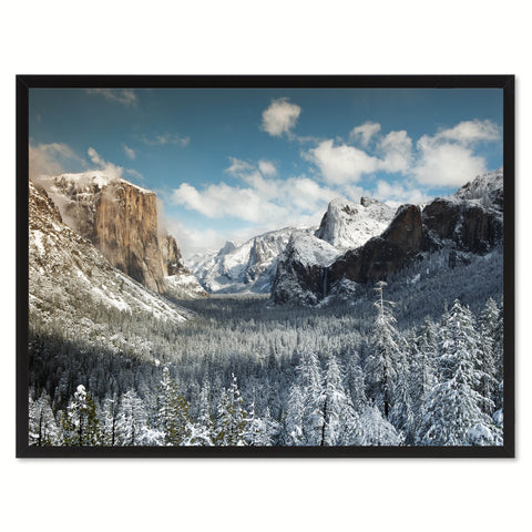 Giant Sequoia Tree Yosemite Landscape Photo Canvas Print Pictures Frames Home Décor Wall Art Gifts