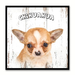 Chihuahua Dog Canvas Print Picture Frame Gift Home Decor Wall Art Decoration