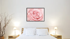 Pink Rose Flower Framed Canvas Print Home Décor Wall Art