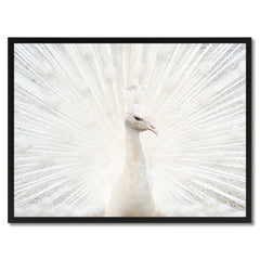 Peacock Bird Canvas Print, Black Picture Frame Gift Ideas Home Decor Wall Art Decoration