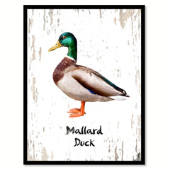 Mallard Duck Bird Canvas Print, Black Picture Frame Gift Ideas Home Decor Wall Art Decoration