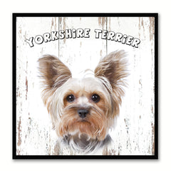 Yorkshire Terrier Dog Canvas Print Picture Frame Gift Home Decor Wall Art Decoration
